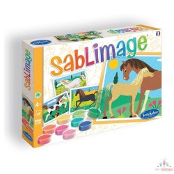 SABLIMAGE CHEVAUX Concept Box