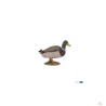 Figurine Canard Colvert