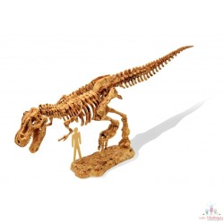 Dino Kit - T-Rex