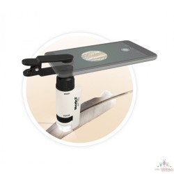 Pocket Microscope