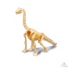 Dino Dig Brachiosaurus