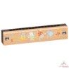 Harmonica