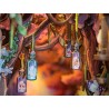 BOOKNOOK - LA FORET ENCHANTEE