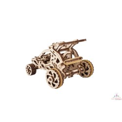 Buggy Desert