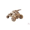 Buggy Desert