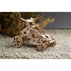 Buggy Desert