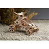 Buggy Desert