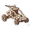 Buggy Desert