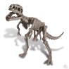 Déterre-Ton-Dino - T-Rex