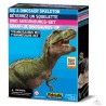 Déterre-Ton-Dino - T-Rex
