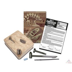 Déterre-Ton-Dino - Brachiosaure