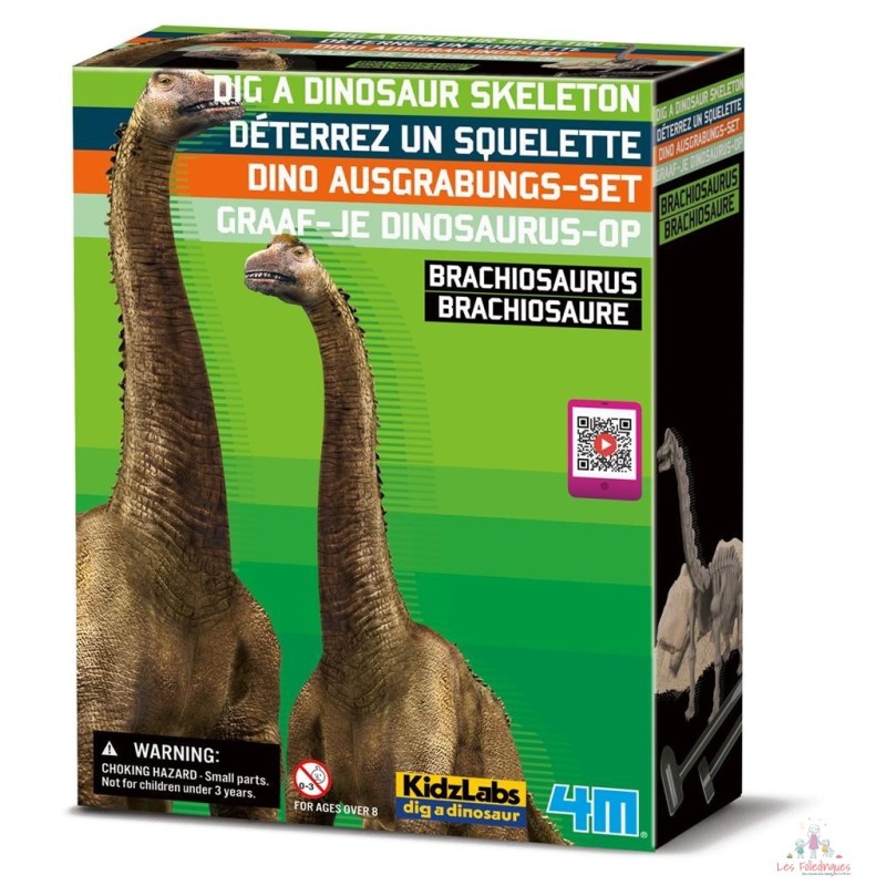 Déterre-Ton-Dino - Brachiosaure