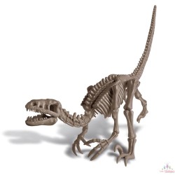 Déterre-Ton-Dino - Velociraptor