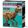 Déterre-Ton-Dino - Velociraptor