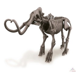 Déterre-Ton-Dino - Mammouth -
