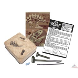 Déterre-Ton-Dino - Stégosaure