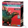 Déterre-Ton-Dino - Stégosaure