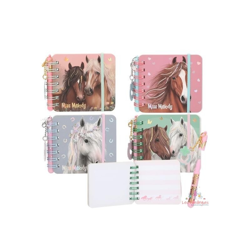 Miss Melody Set de carnets de notes
