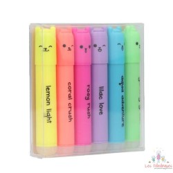 PENfection Set de mini surligneurs effaçables